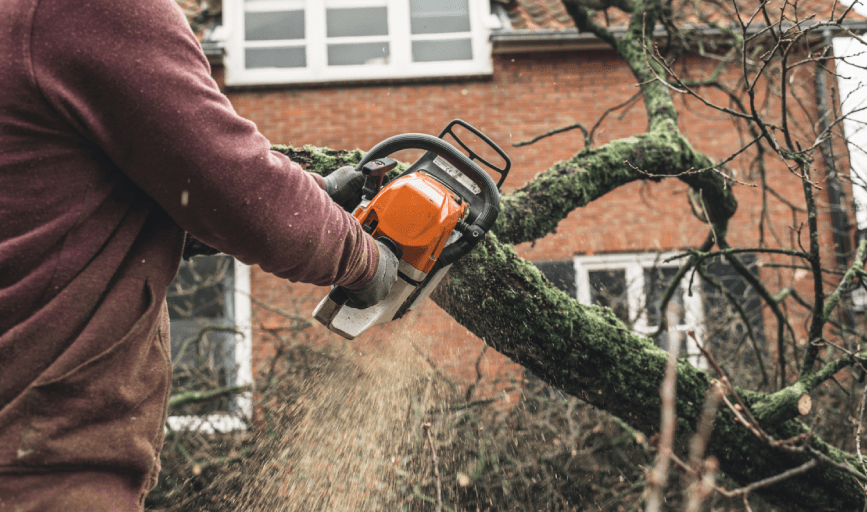 Mady's Tree Care